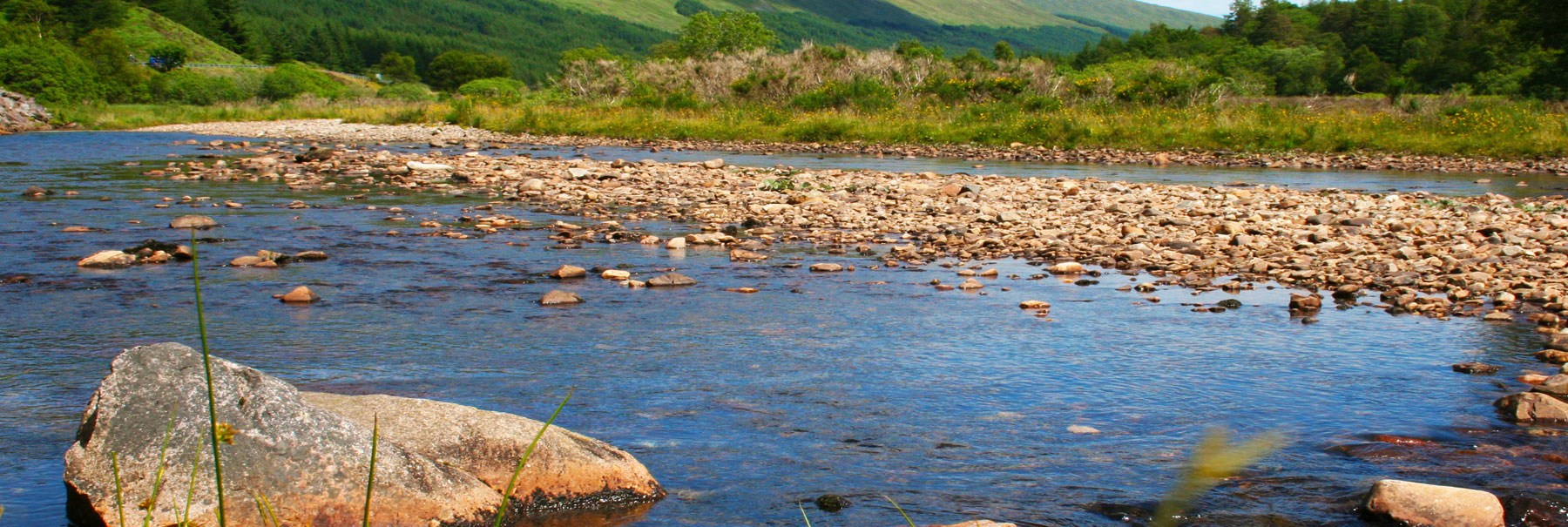 Whisky Live 2025 vigueur et inventivité