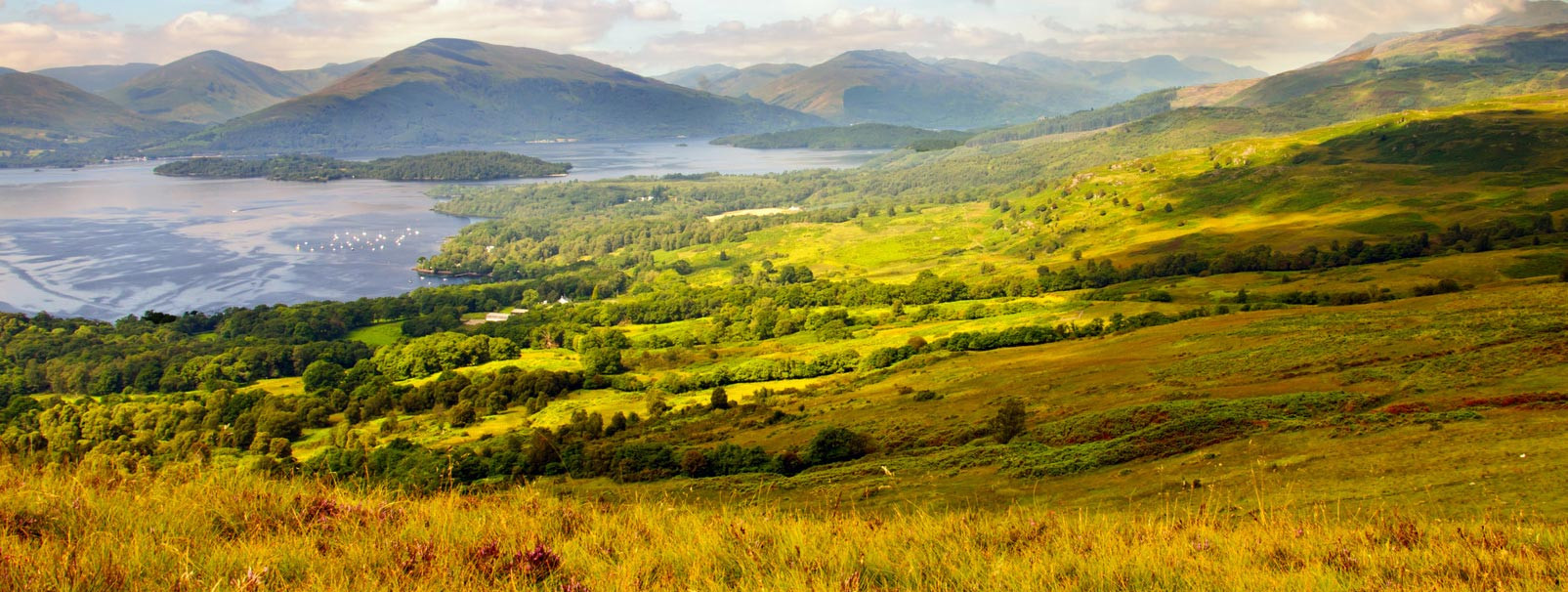 Whisky Live 2025 vigueur et inventivité