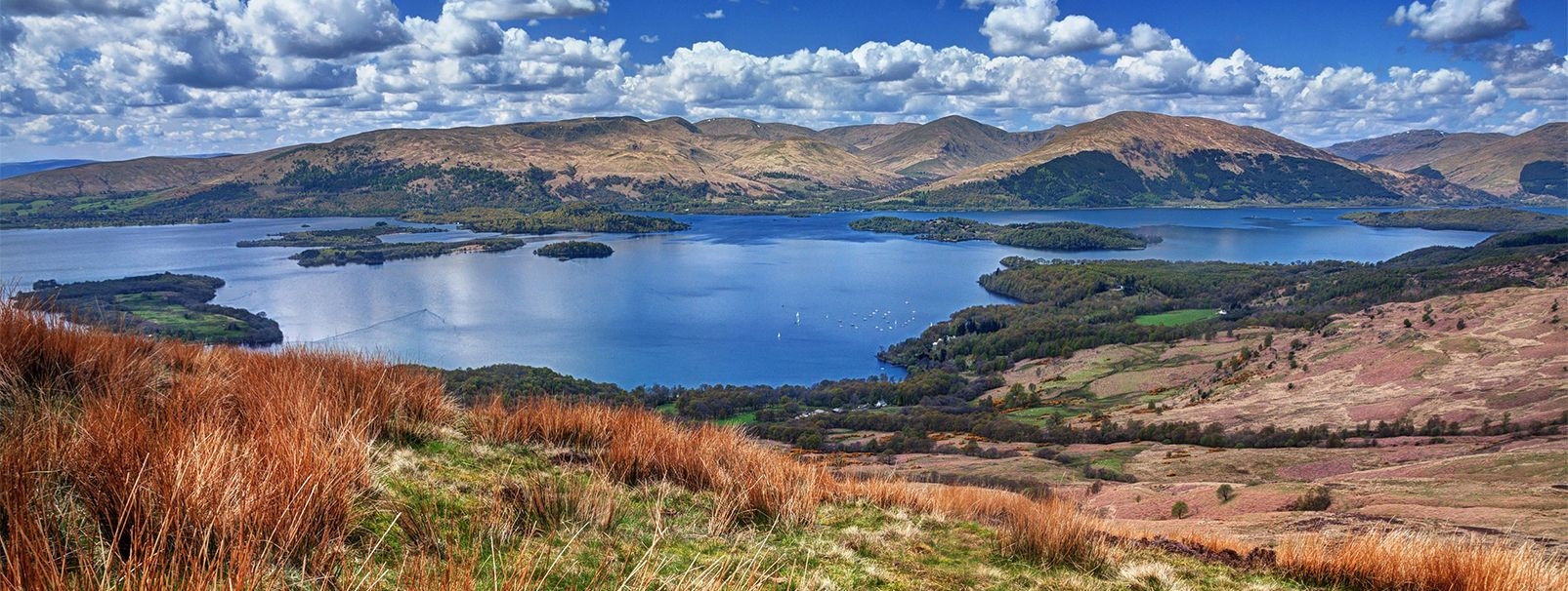 Whisky Live 2025 vigueur et inventivité